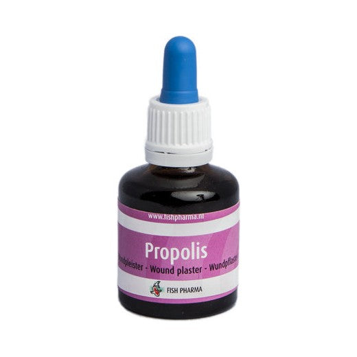 Fish Pharma Propolis Tinctuur 30 ml – natuurlijke wondverzorging koi